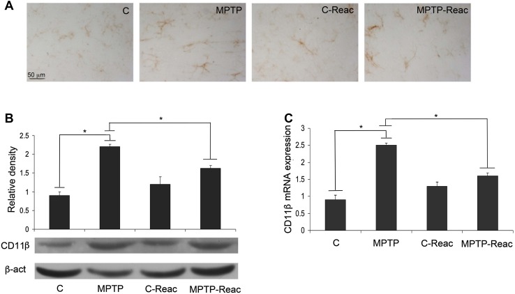 Fig. 2