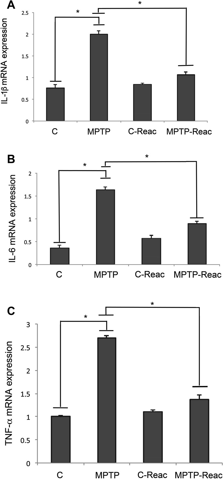 Fig. 3