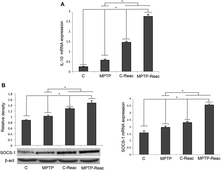 Fig. 6