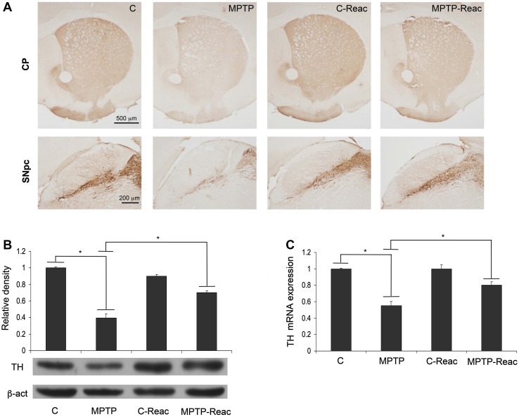 Fig. 7