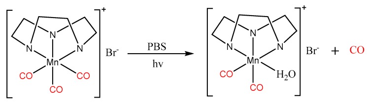 Figure 24