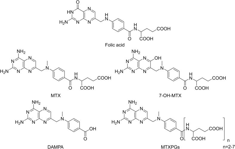 Fig. 1