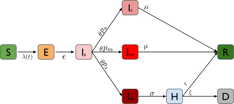 Fig. 1