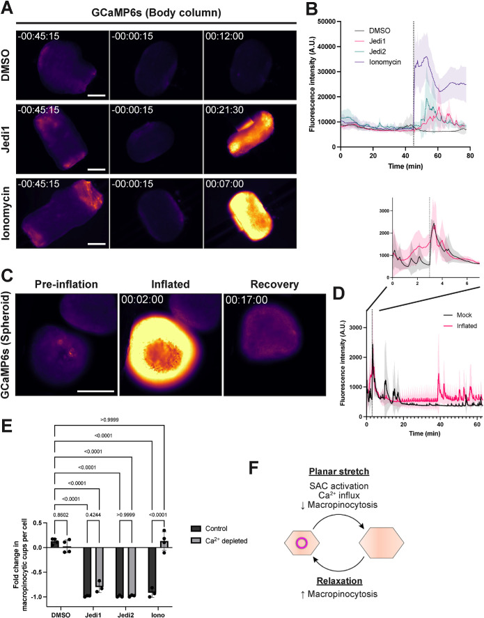 FIGURE 4: