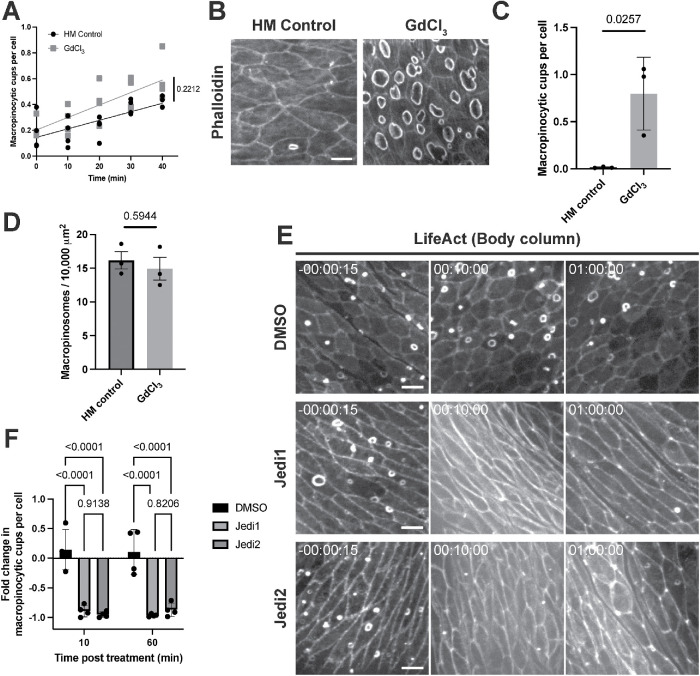 FIGURE 2: