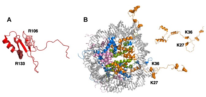 Figure 10.