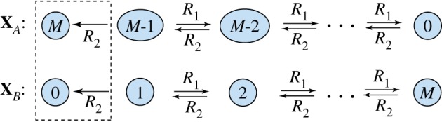 Figure 1.