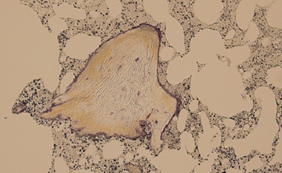 Fig. 4
