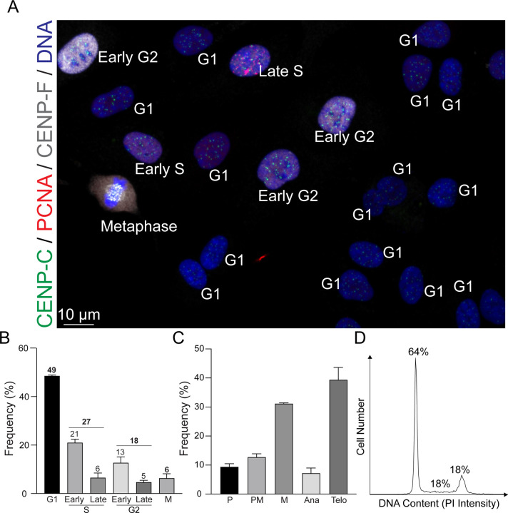 Figure 3: