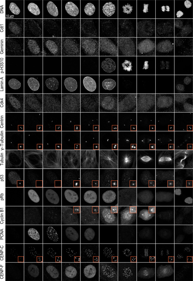 Figure 1: