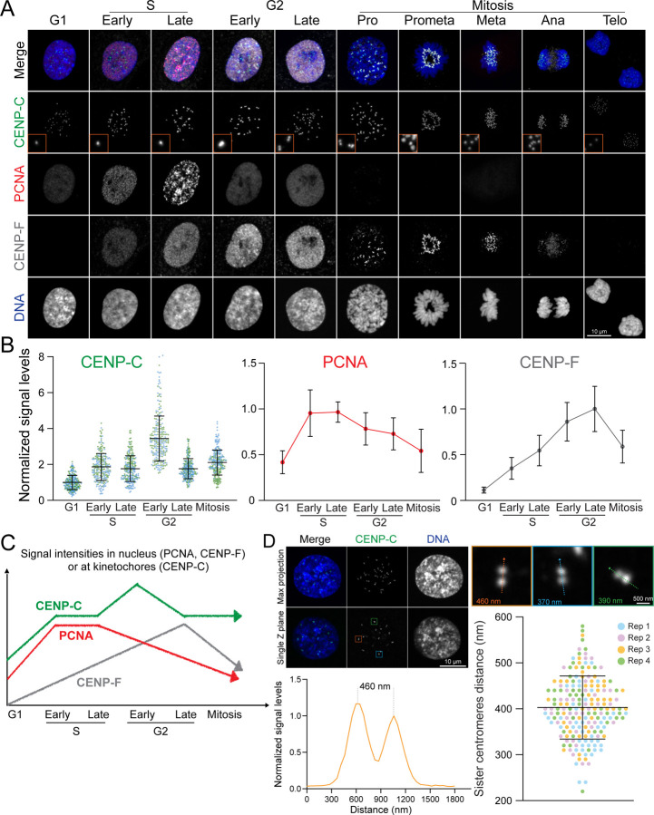 Figure 2: