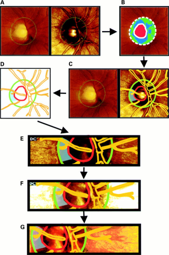 Figure 1  