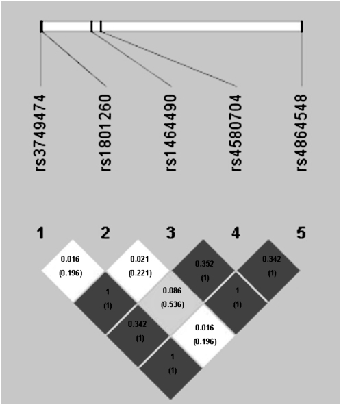 FIGURE 1