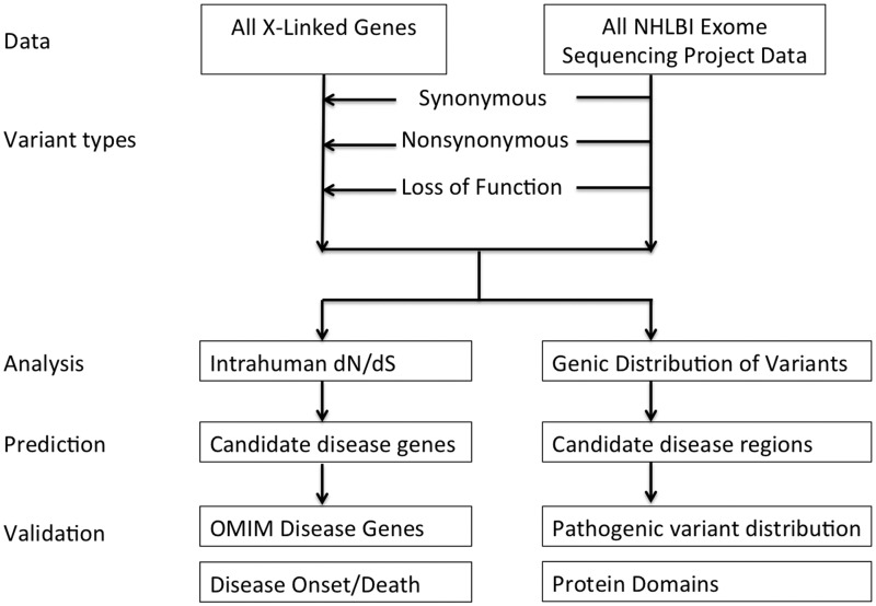 Figure 2.