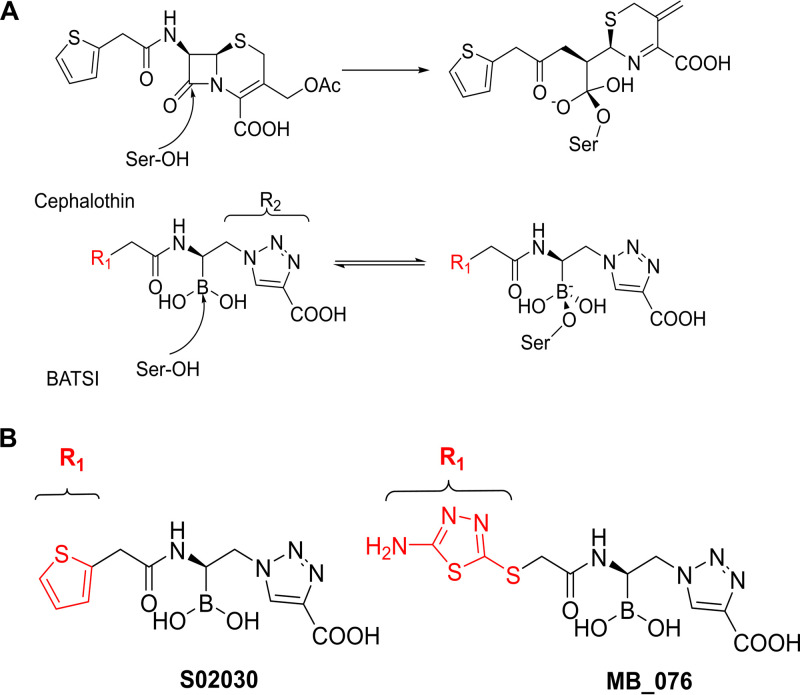 FIG 1