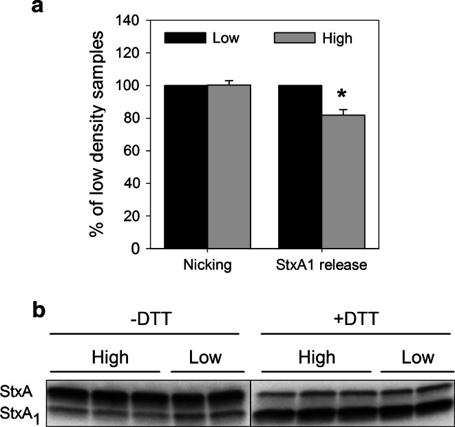 Fig. 10