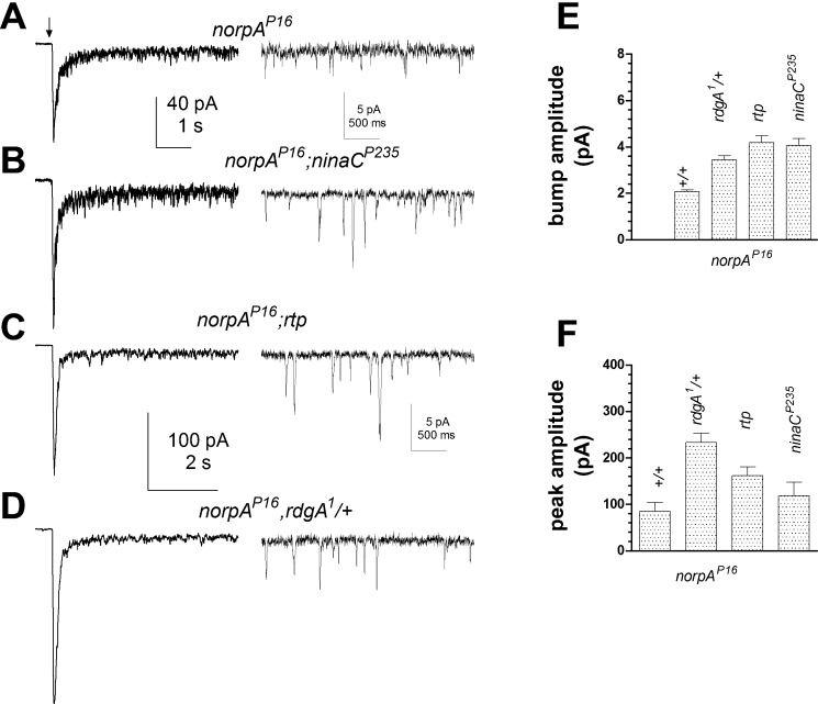 Fig. 9.