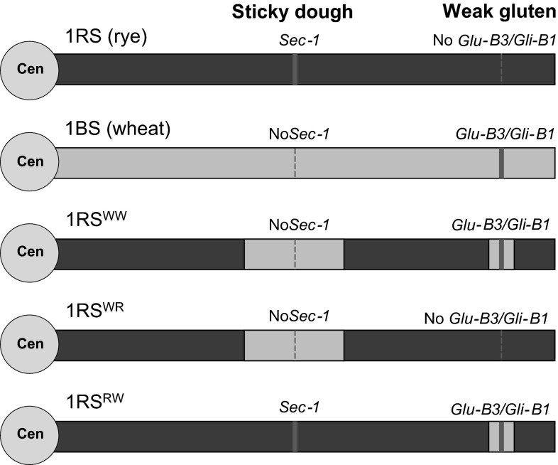 Fig. 1