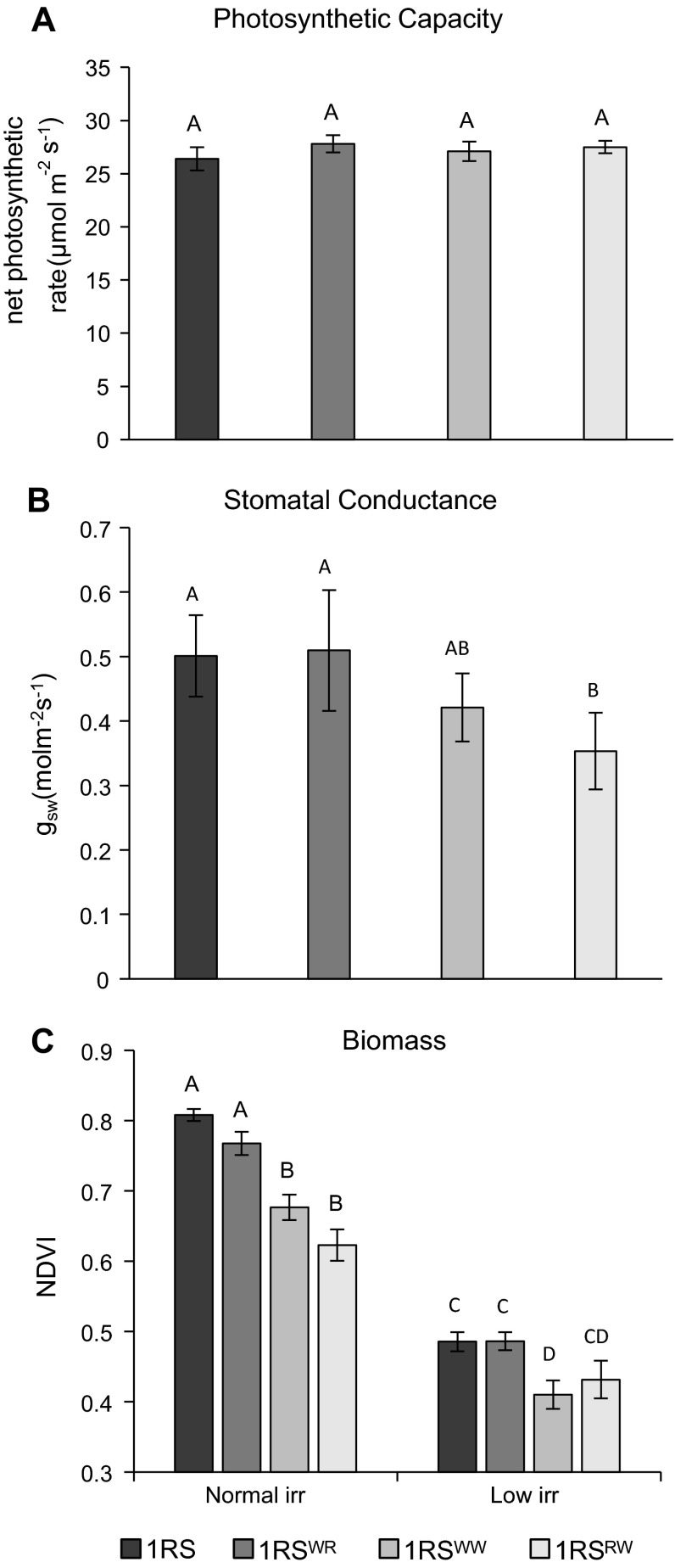 Fig. 8