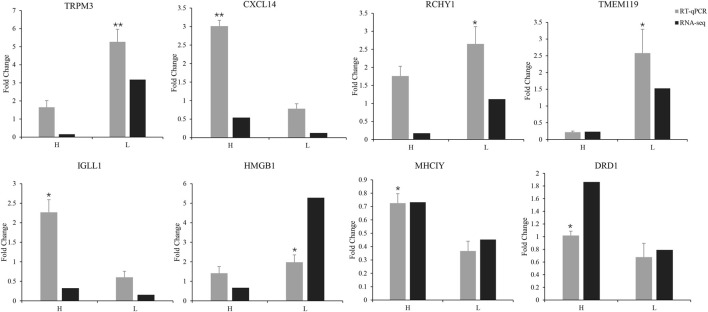 FIGURE 3