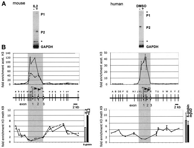 FIG. 1.