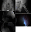 Fig. 4A–E