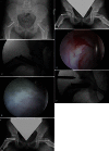 Fig. 3A–G