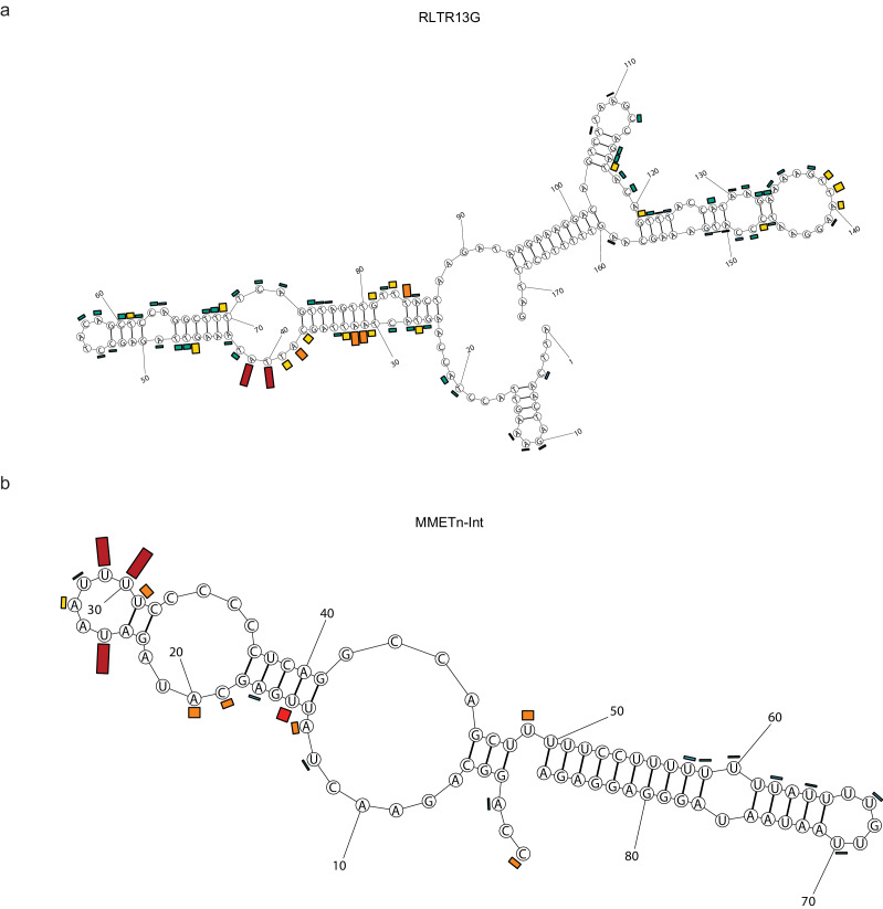 Figure 4—figure supplement 1.