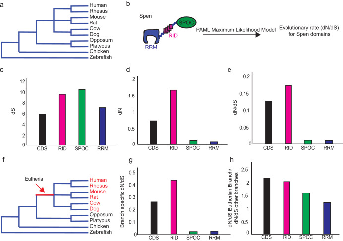 Figure 6—figure supplement 1.