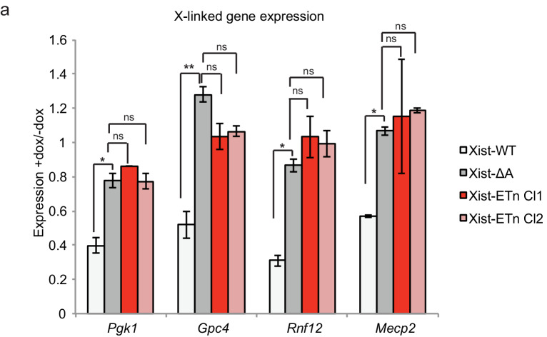 Figure 6—figure supplement 3.