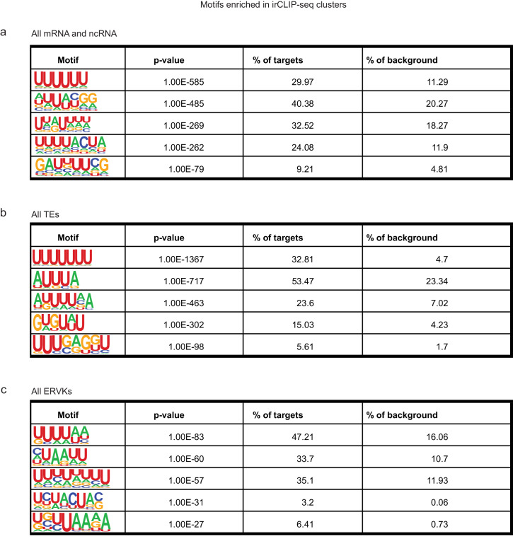 Figure 3—figure supplement 3.