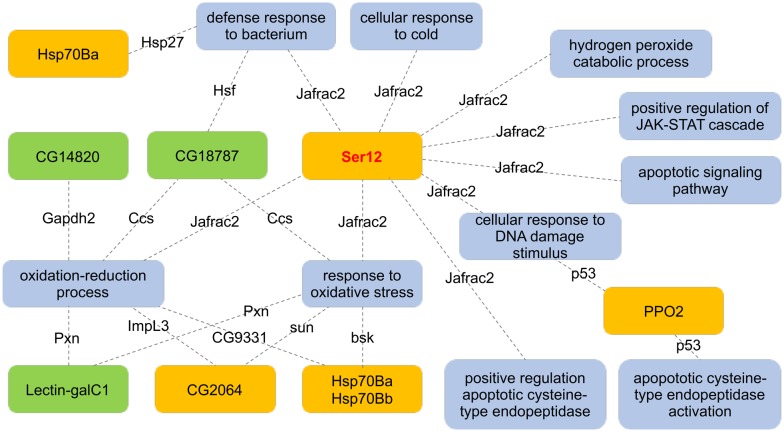 Fig. 4.