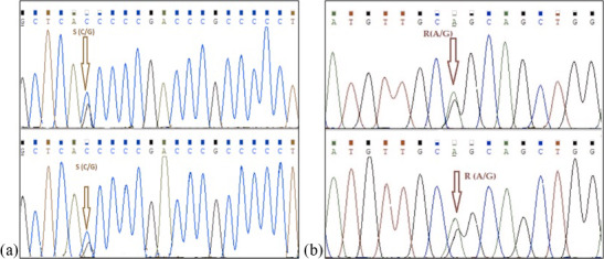 Figure 4