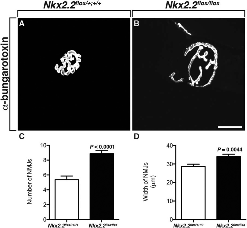 Fig. 8