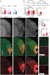 Figure 6: