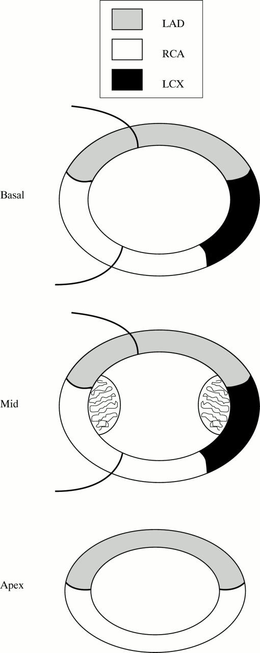 Figure 2  