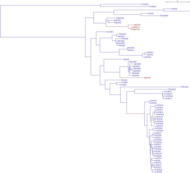 Figure 4.