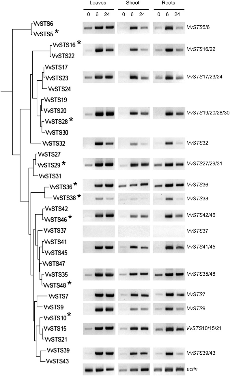 Figure 2.