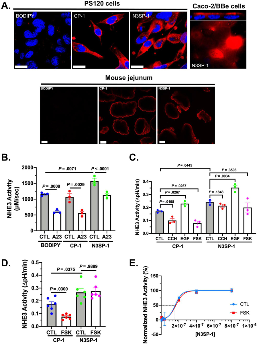 Figure 2.