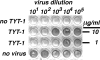 FIG. 2.