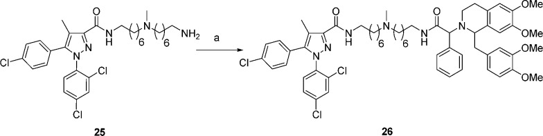 Scheme 5