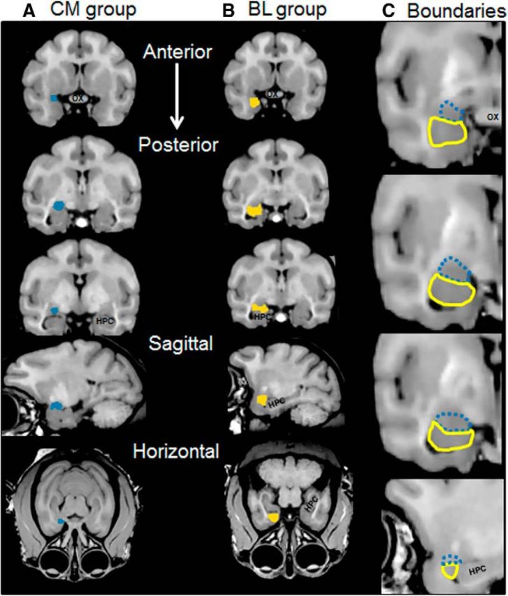 Figure 3.