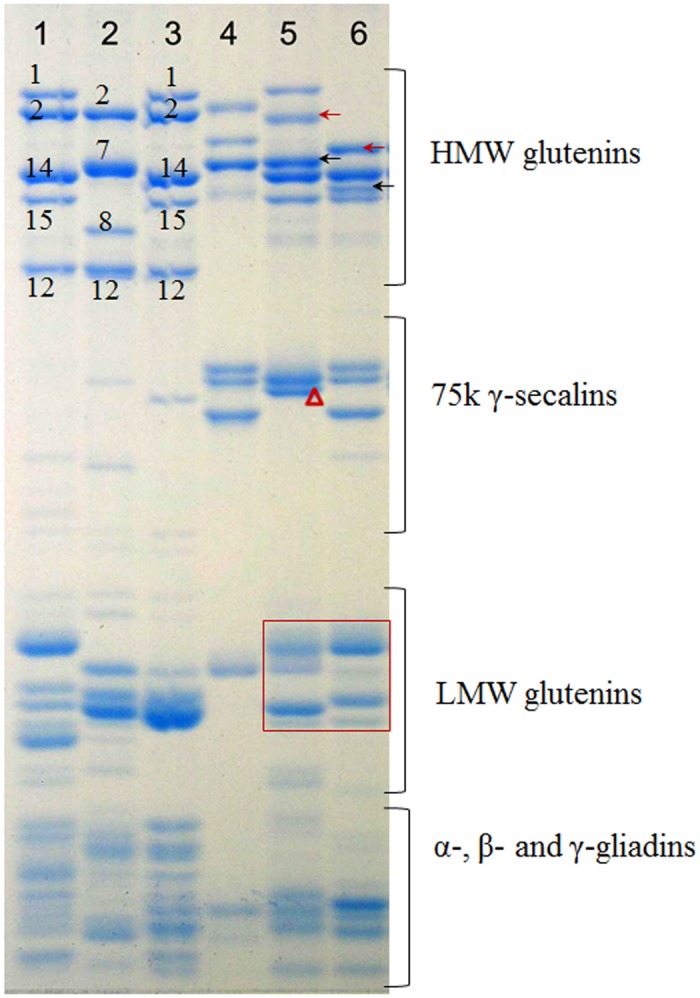 Fig 6