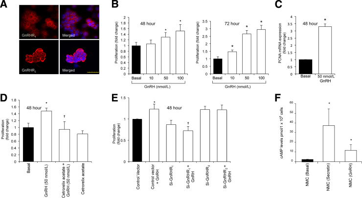 Figure 6