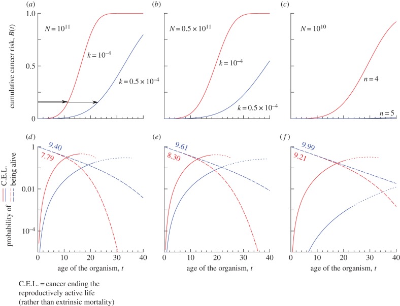 Figure 1.