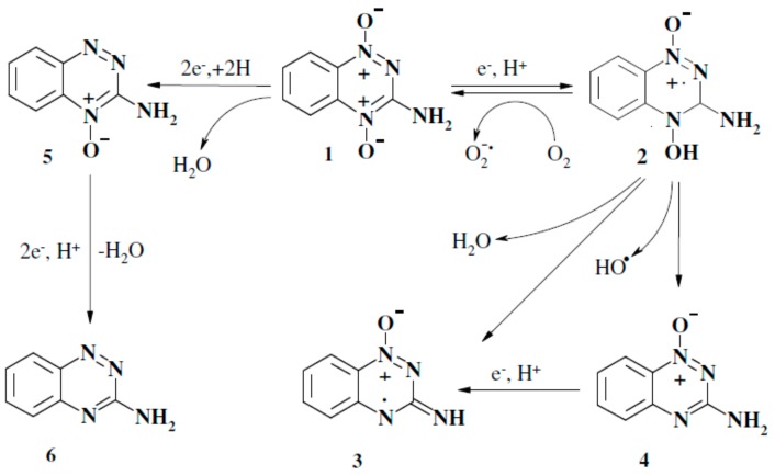 Scheme 1