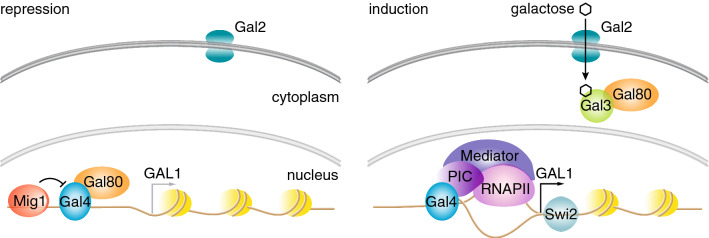 Fig. 2