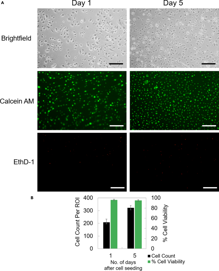 Figure 6