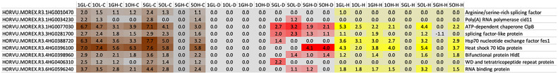 Figure 11