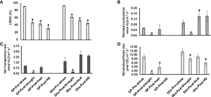 Figure 1